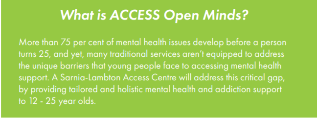 About Access Open Minds